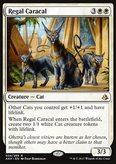 Regal Caracal